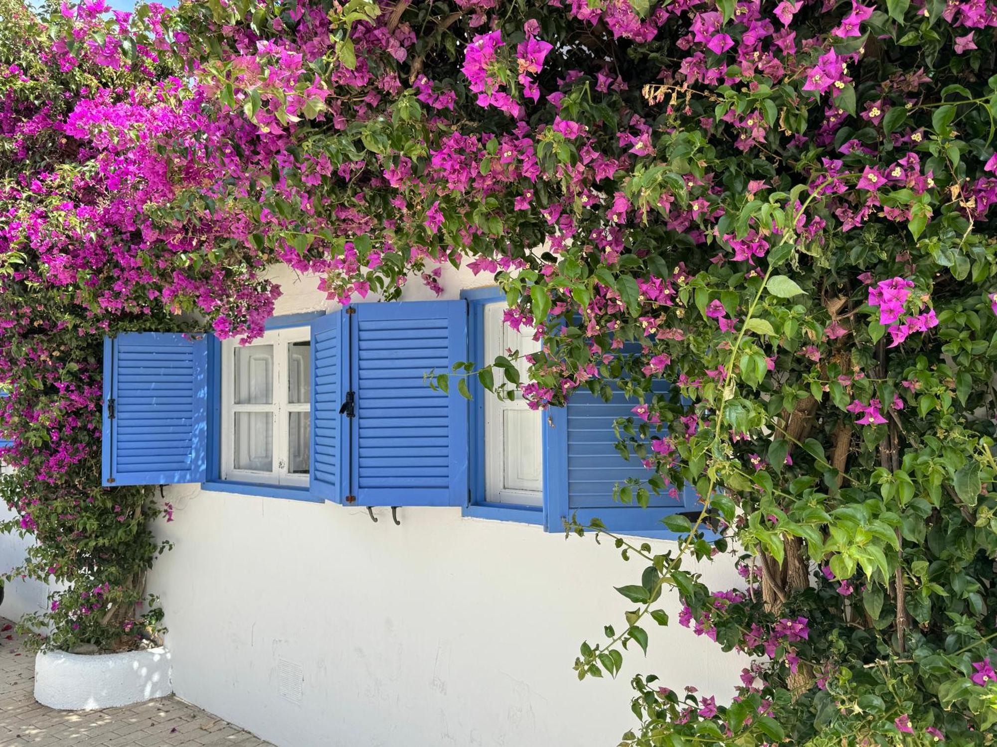 Casa Mellis Aguamarga Apartment Agua Amarga  Luaran gambar